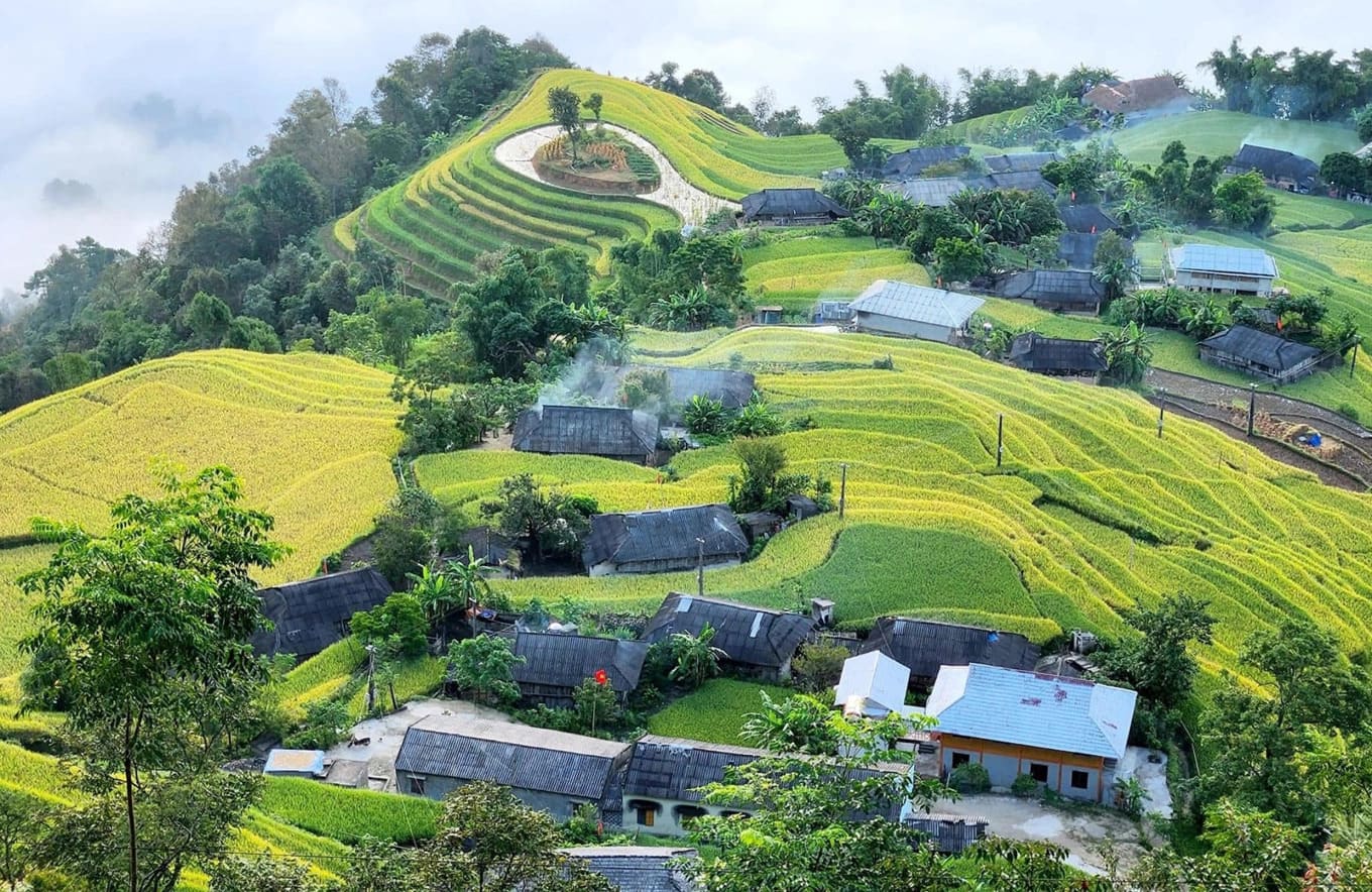 Ruộng Bậc Thang Hoàng Su Phì Tháng 9 Đẹp Như Thế Nào? Mùa Vàng Giữa Núi Rừng Hà Giang