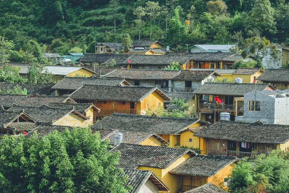 Lô Lô Chải Tháng 9 – Ngôi Làng Bình Yên Dưới Chân Cột Cờ Lũng Cú