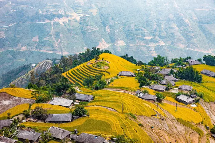 Bản Phùng Tháng 9 Có Gì Đẹp? Kinh Nghiệm Săn Mùa Vàng Hoàng Su Phì